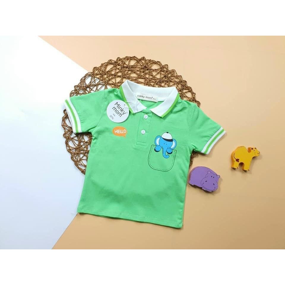 Áo Polo cộc tay cho bé  Áo cotton cổ bẻ Polo cho bé trai bé gái  Quần áo trẻ em