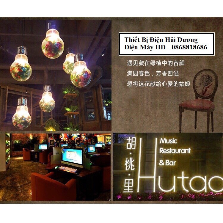 Đèn thả trang trí hình bóng led TN559 (kèm cây xanh) - Đường kính 300mm - Bảo hành 12 tháng