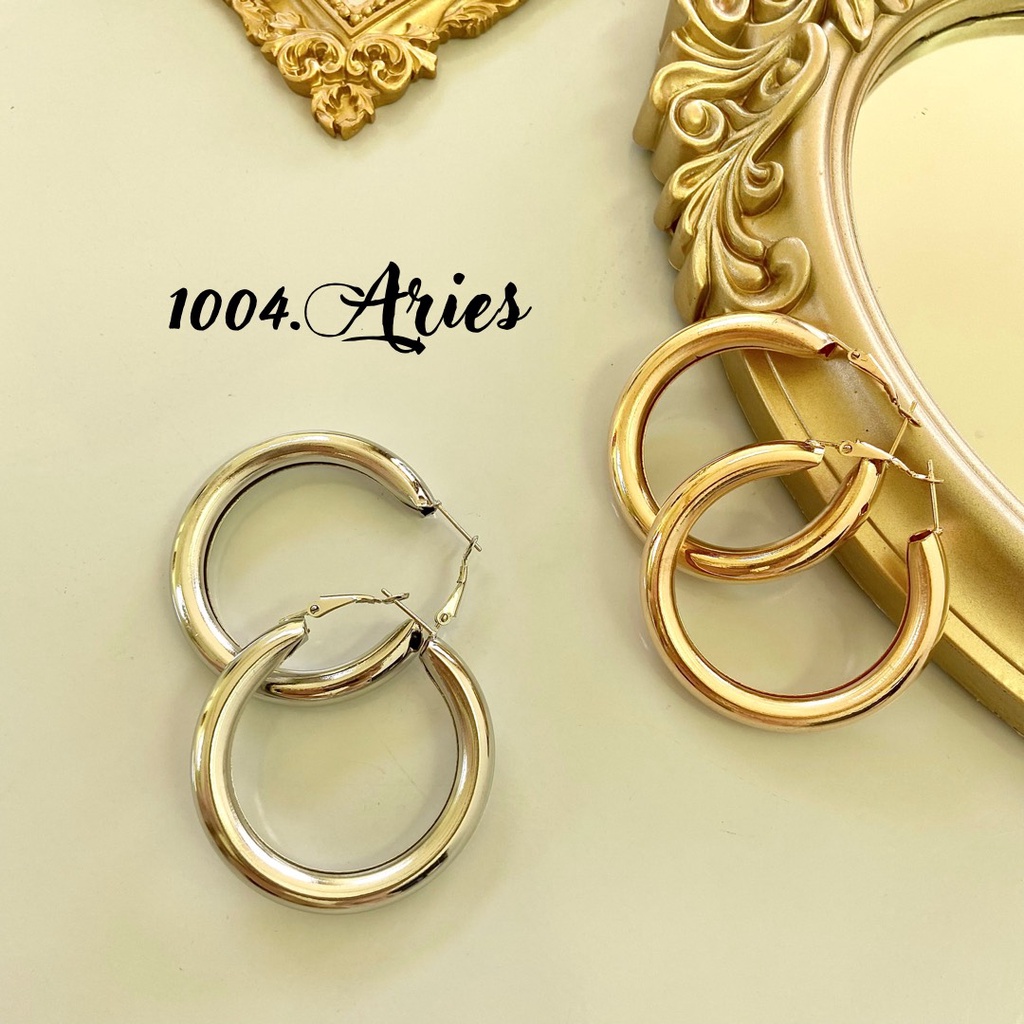 Bông tai tròn /xoắn cá tính cho nữ -1004 ARIES