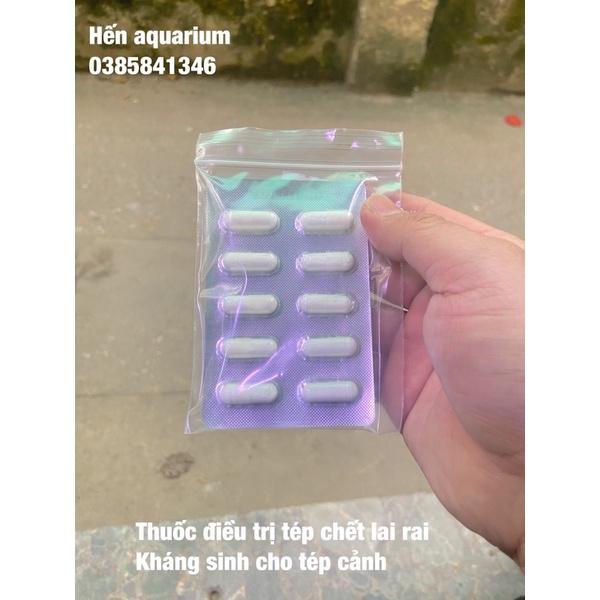 Thuốc con nhộng đặc trị cá tép chết lai rai Aquarium 1