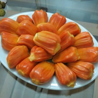 Cây mít thái ruột đỏ ,cao sản f1.