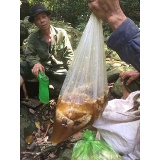 Mật ong rừng nguyên chất