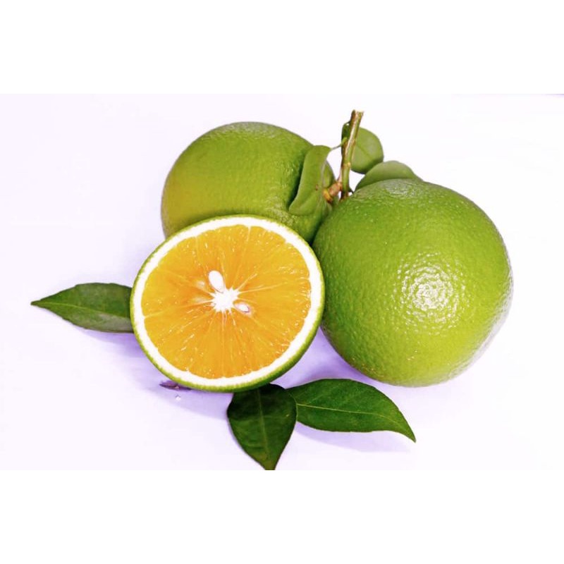 (Q.Gò Vấp) Cam xoàn tươi, ngọt