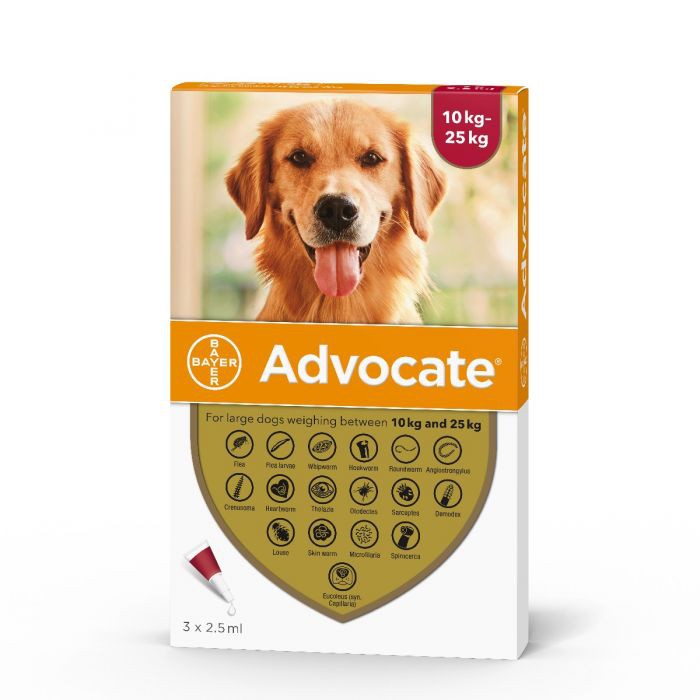 [𝐁𝐋𝐀𝐂𝐊 𝐅𝐑𝐈𝐃𝐀𝐘 𝟏𝟎%  𝐘𝐔𝐏𝐏𝐘𝐁𝐅] Advocate 10-25KG Thuốc nhỏ gáy trị ve rận, ghẻ, giun sán - Advocate cho chó / cún