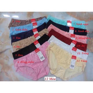 Combo 10 quần chip cotton