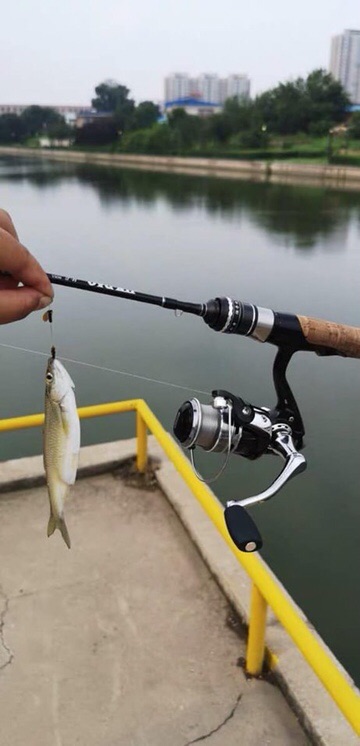 Hộp thìa nhỏ siêu nhạy cá chuyên lure cá mương