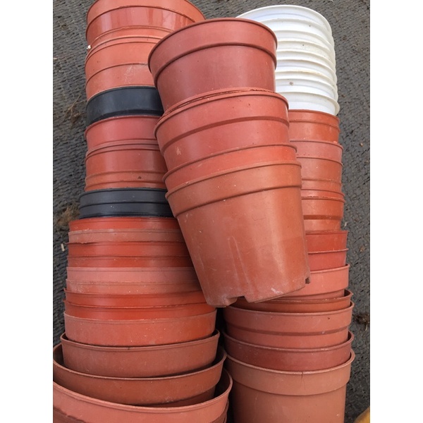 Chậu nhựa đã qua sử dụng combo 12-25 cái