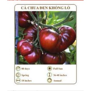 Hạt giống cà chua đen khổng lồ