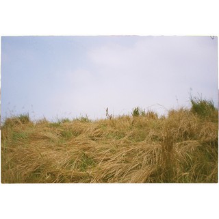 Fuji 100 - 24 kiểu ( date 12/ 1999 ) - đã chụp test