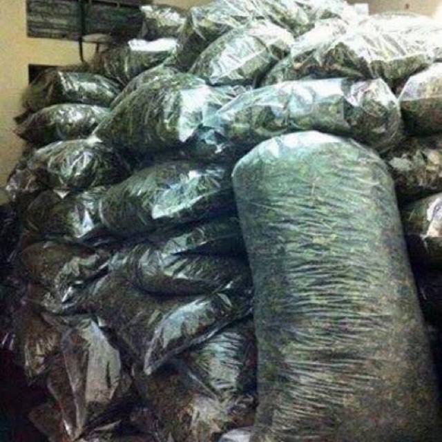 Lá chè vằng quê hàng chuẩn 1 kg uống giảm cân lợi sữa