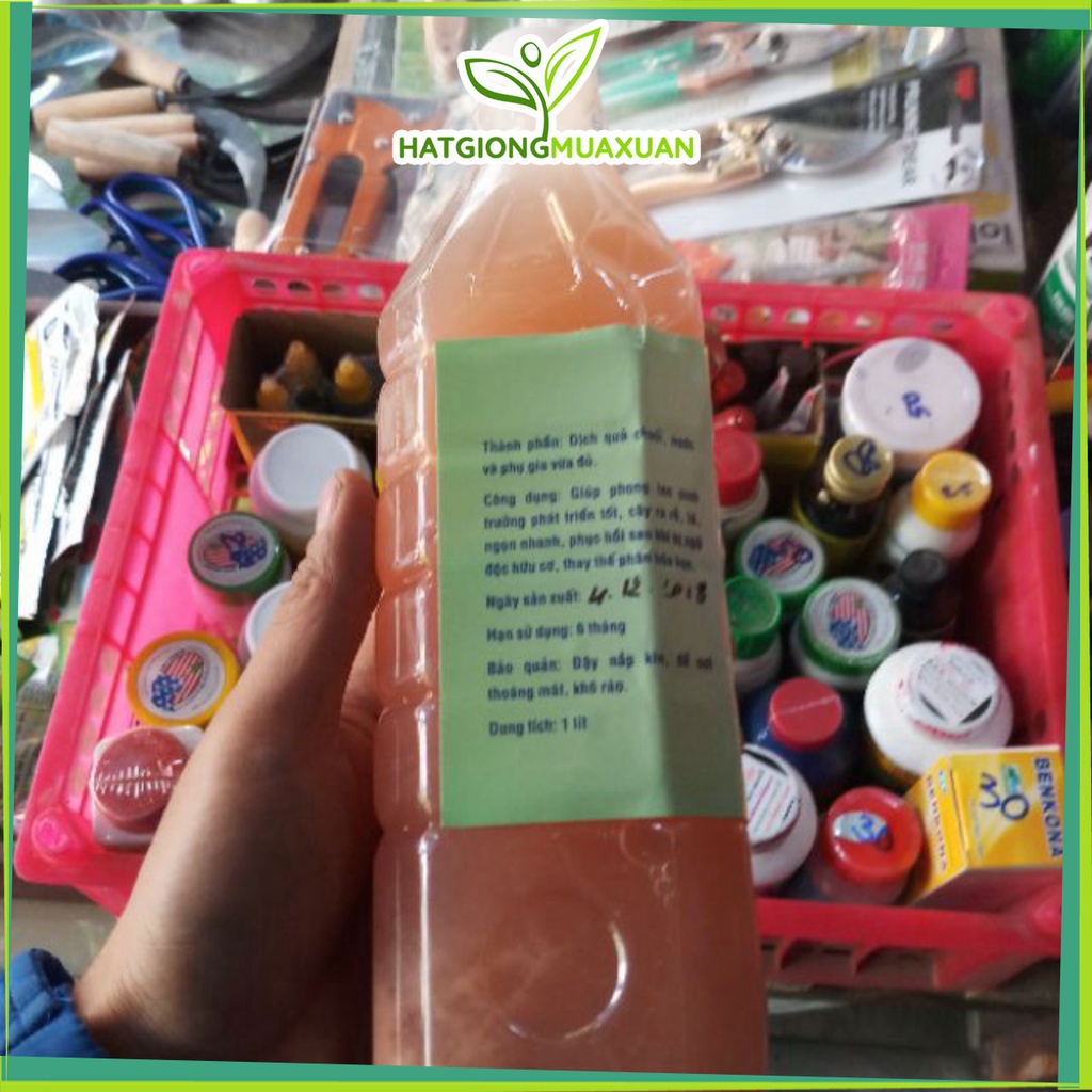 [SIEURE] Thần dược dịch chuối chính hãng nguyễn quốc tư cho hoa lan và cây cảnh hàng đẹp, phân phối chuyên nghiệp.