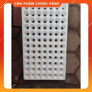 Khay xốp ươm hạt 84 lỗ