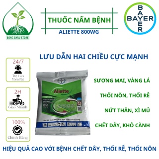 Aliette 800wg - 100gr - thuốc đăc trị nấm bệnh cây trồng