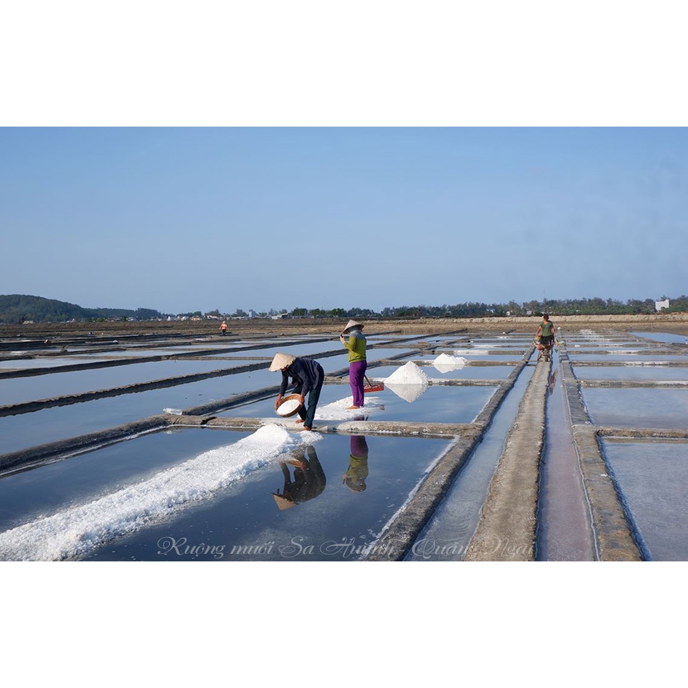 [Sahu] Hoa Muối Cao Cấp- Fleur De Sel- Muối Nhạt Cho Bé Ăn Dặm Và Người Ăn Nhạt [Xanh Suốt]