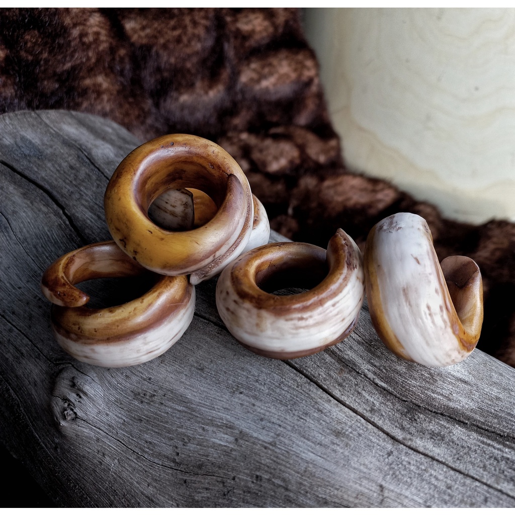 Nhẫn nanh heo nhân tạo độc lạ