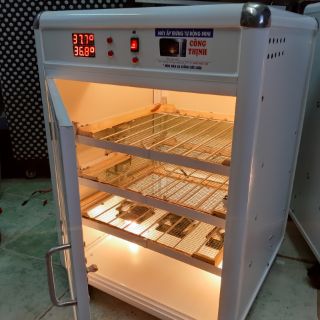 MÁY ẤP TRỨNG TỰ ĐỘNG MINI CÔNG THỊNH (180-200 TRỨNG)
