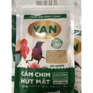 cám chim hút mật YAN
