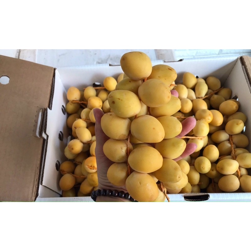 Chà Là Tươi Nam Phi