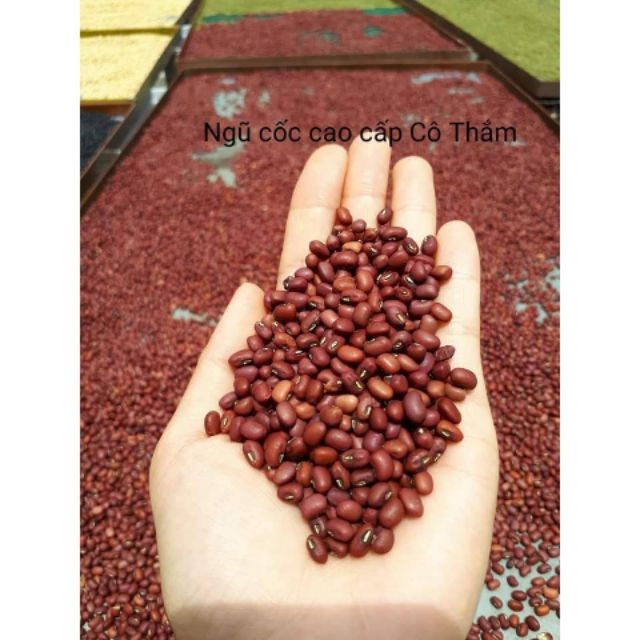 Combo 5ki đậu quê 4 loại ( đậu đen xanh lòng, đậu nành, đậu đỏ, đậu xanh)