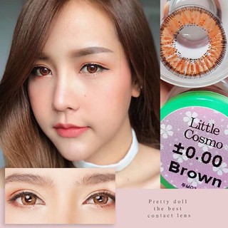 Lens Nâu Tây (1,25 ĐỘ)