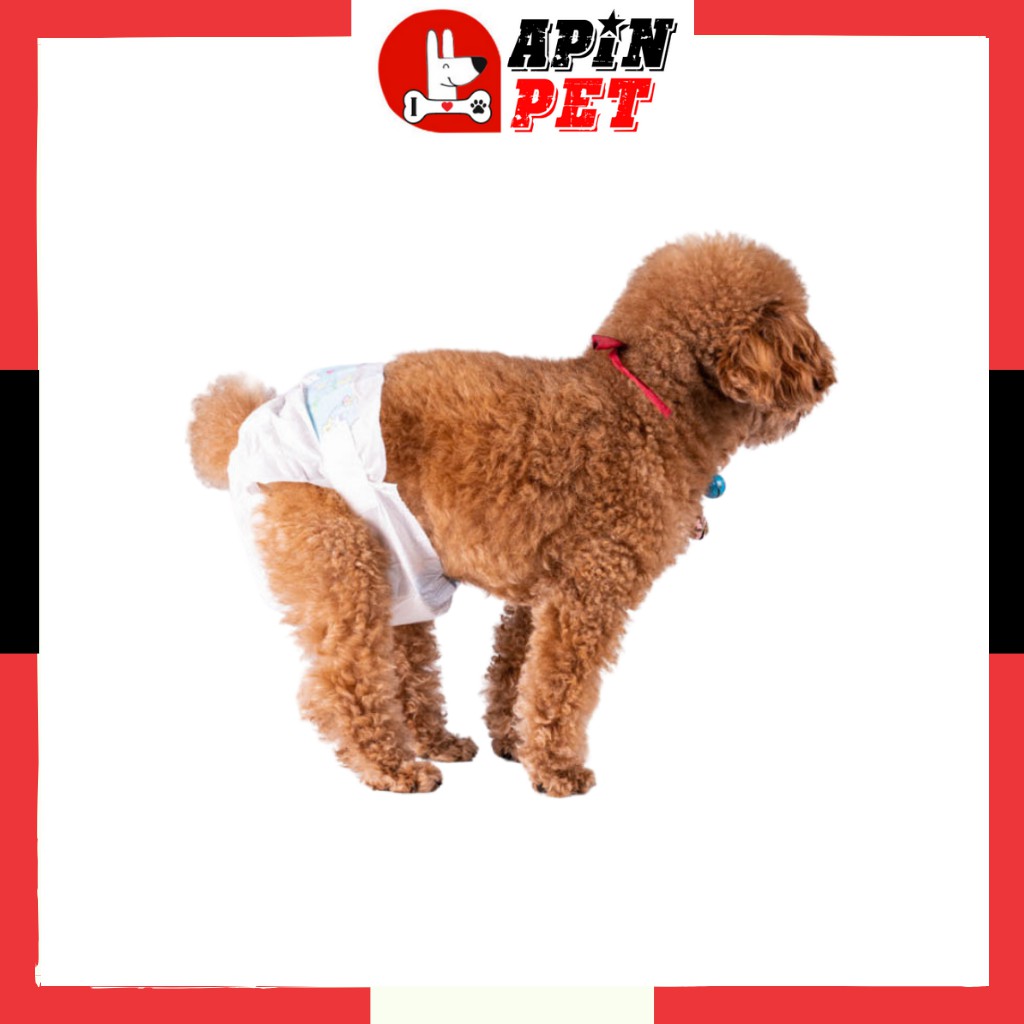 Bỉm Cho Chó Cái Thấm Hút Nhanh Thoáng Mát Size XS S M L XL