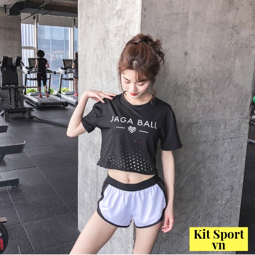 Áo thun phông ngắn thể thao nữ Bee (Đồ tập gym,yoga) II Cửa Hàng KIT SPORT VIỆT NAM