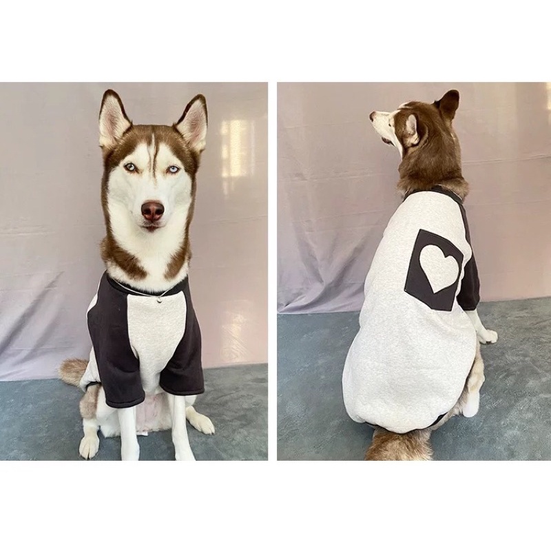 ÁO BIG SIZE CHO CHÓ LỚN MẪU TÚI TRÁI TIM ♥️