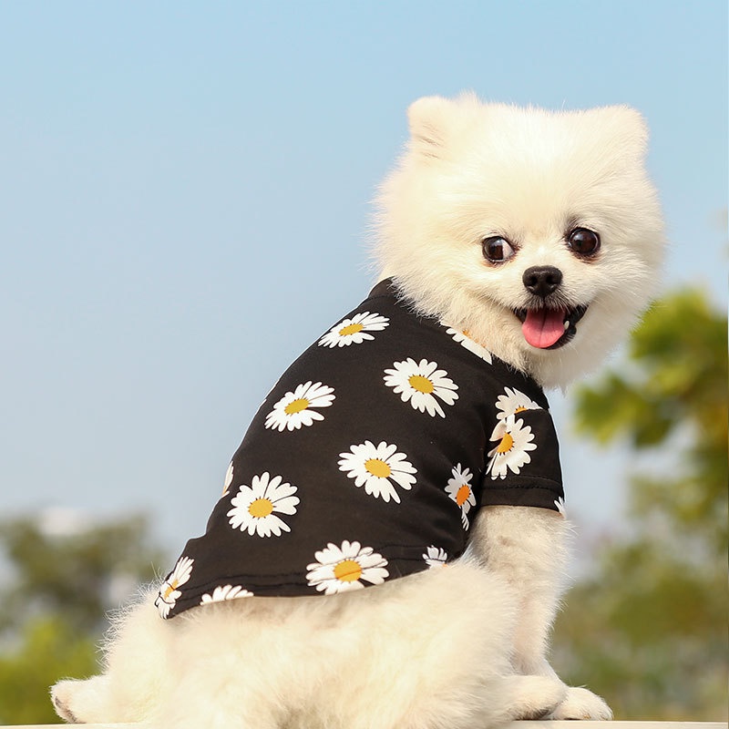 Áo Mặc Mùa Hè Cho Chó Mèo - Mẫu Hoa Cúc #MintPet