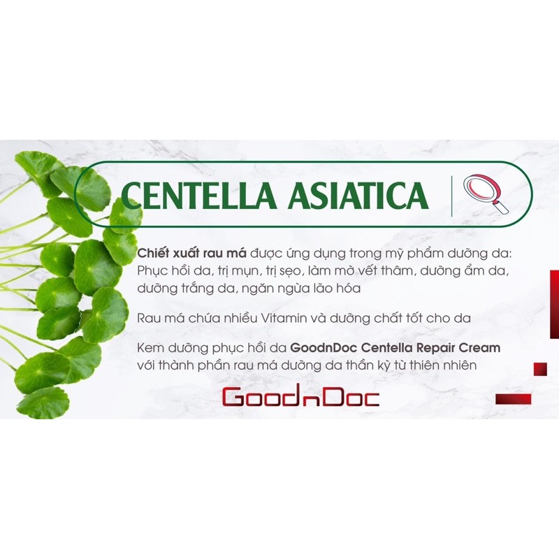 Kem dưỡng phục hồi chiết xuất rau má GoodnDoc Centella Repair Cream 50ml (Date 2024)