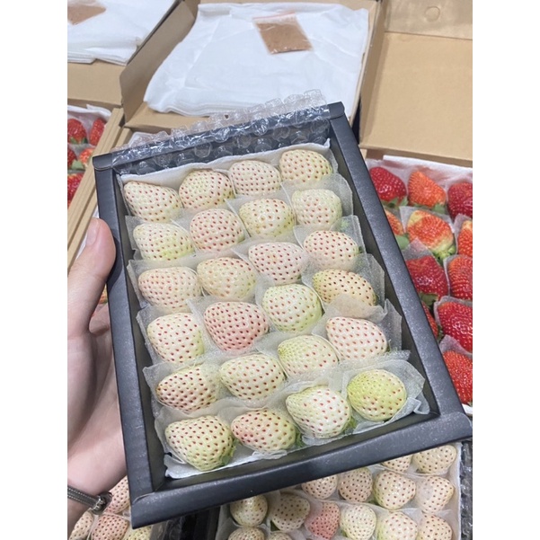 Dâu Bạch Tuyết Size 24 trái Thơm, Siêu ngọt