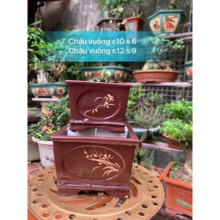 2 Chậu vuông trồng cây bonsai mini trồng cây cảnh cây để bàn