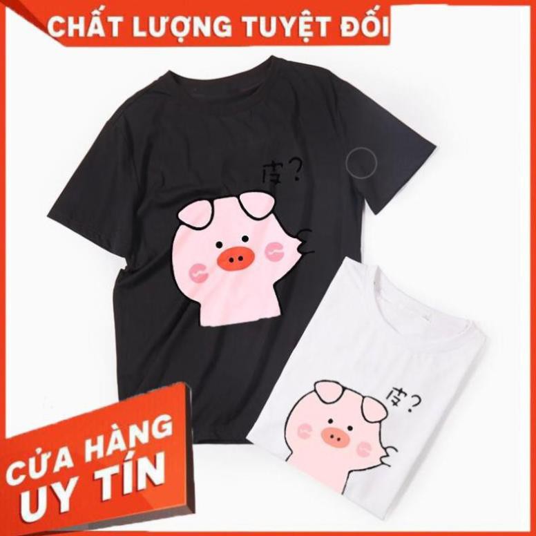 ÁO THUN HÌNH CON HEO ĐẸP DỄ THƯƠNG