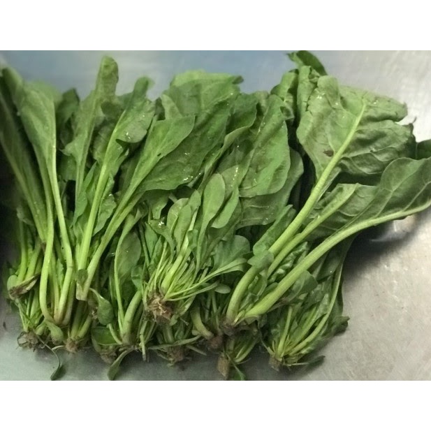 Hạt Giống Cải Bó Xôi Chịu Nhiệt Việt - 20g
