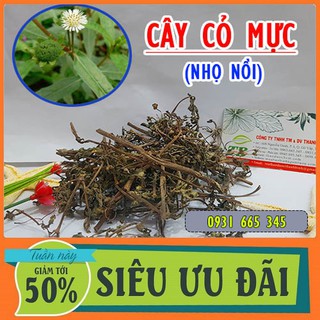 Cây Cỏ Mực [Cây Nhọ Nồi] Khô 1Kg [Thu Hái Tự Nhiên]