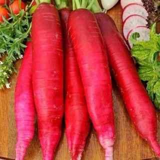 2g HẠT GIỐNG CỦ CẢI ĐỎ DÀI
