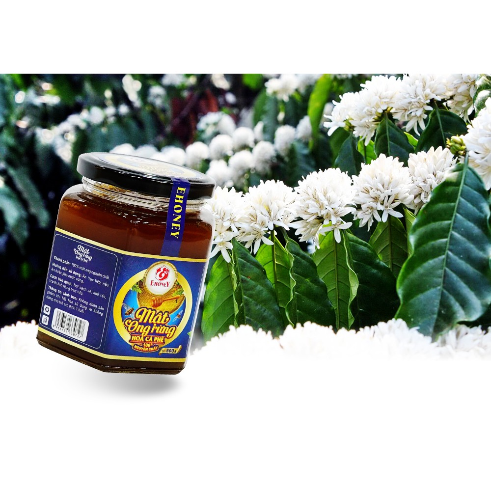 EHONEY - Hộp mật Ong rừng hoa cafe 500g/hộp