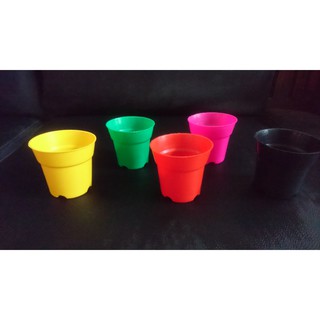 Chậu tròn 5x5 nhiều màu (Set 50 cái)