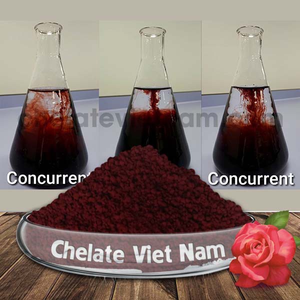 Vi lượng Sắt Chelate (Fe-EDDHA-6) (Bỉ) tan hoàn toàn trong nước (gói 100g)