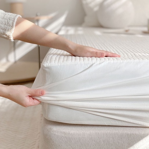 Ga Trải Giường Trần Bông Bo Chun Hàn Quốc Hàng Cao Cấp Baby Dreams | BigBuy360 - bigbuy360.vn