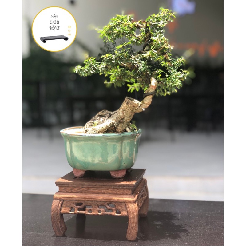 Đôn gỗ, Kệ gỗ mini kê bonsai, ấm trà, tượng trang trí - Ảnh thật