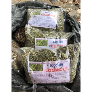 Cây xương khỉ 1kg -Cây bìm bịp 1kg xanh muốt