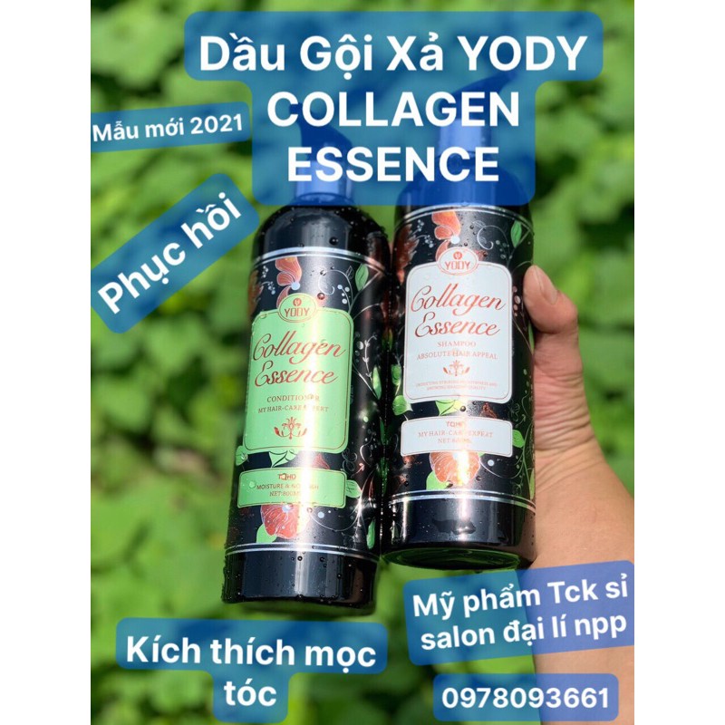 [Hàng Chính Hãng] Dầu Gội Xả Phục Hồi Hương thơm quyến rũ chống rụng tóc YODY COLLAGEN ESSENCE 800mlx2