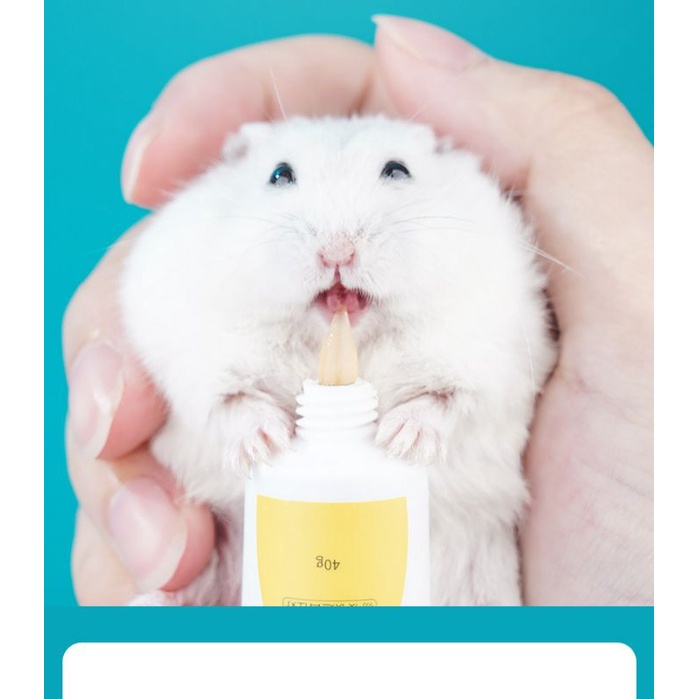 [Jonsanty]Gel dinh dưỡng cho hamster và thú cưng nhỏ