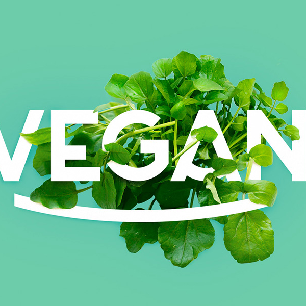 Vegan - Thuần Chay