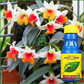 Phân Bón lá vitamin B1 Growmore, phân bón nhập khẩu kích rễ, giúp cây đâm chồi, dưỡng rễ Vuonbabylon - Chai 100ml