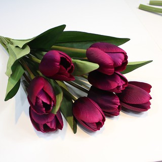 Chùm hoa tulip