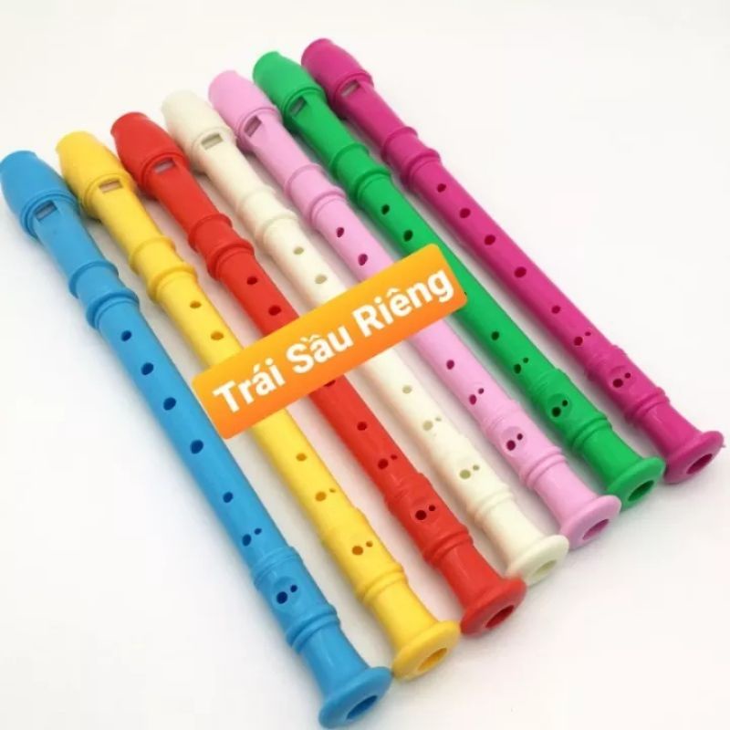 Sáo recorder 8 lỗ - tặng que vệ sinh Freeship