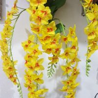 Giỏ hoa lan treo tường