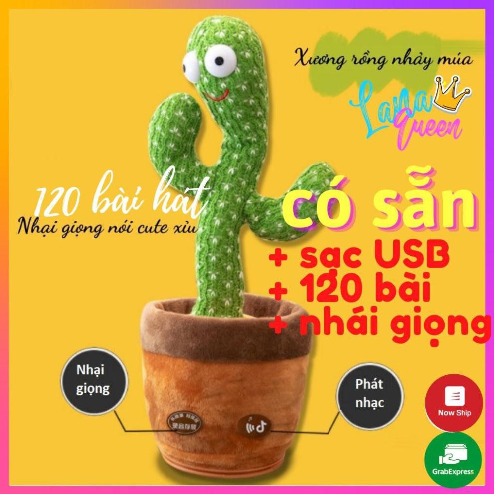 Cây xương rồng nhảy múa vui nhộn phát 120 bài hát nhạc - nhại được giọng nói - hot tiktok (tặng kèm pin) - LANA QUEEN