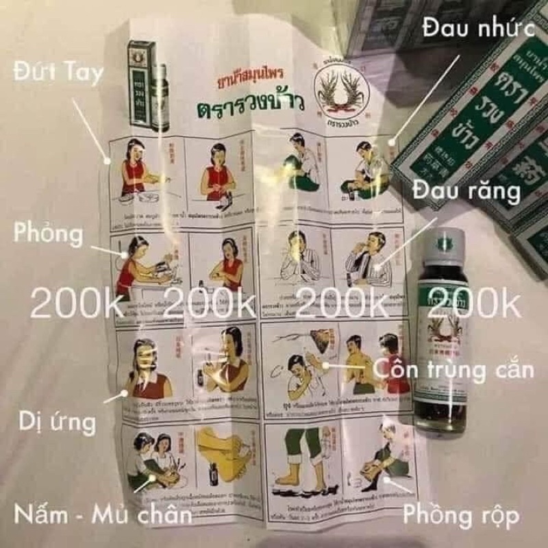 Dầu bông lúa bôi đa vếtthương thái lan